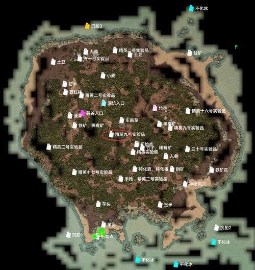 孤岛笔记