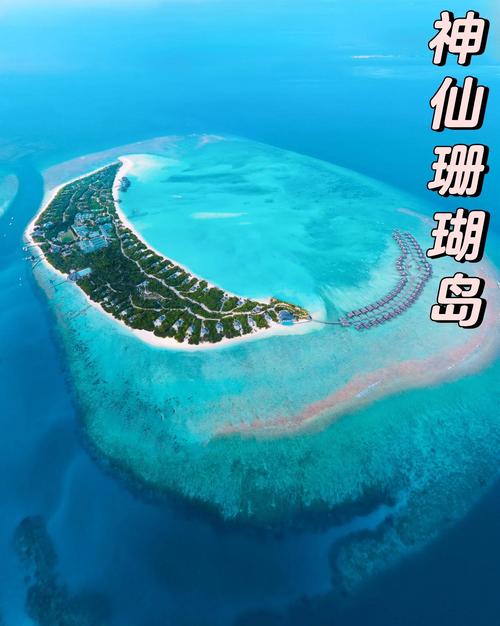 珊瑚岛