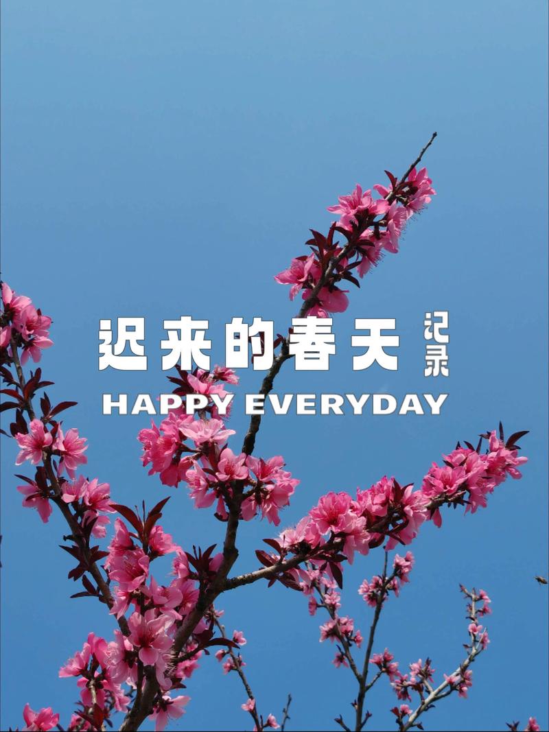 C-迟来的春天