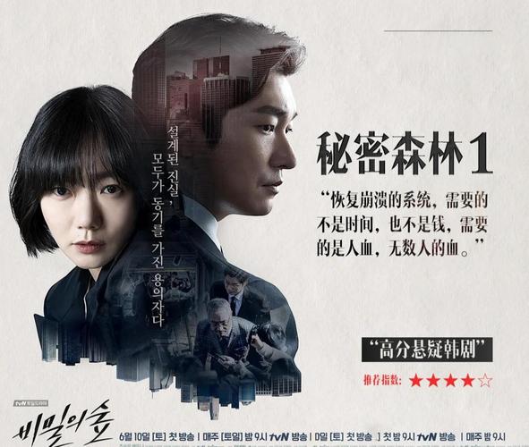 秘密森林 (2017)